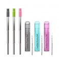 Telescopic Stainless Straw in Case