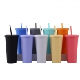 22oz Double Wall Plastic Reusable Cup with Lid and Straw