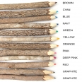 Branch Color Non-toxic Colored Pencil Set