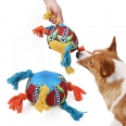 Pet Toy Rainbow Ball